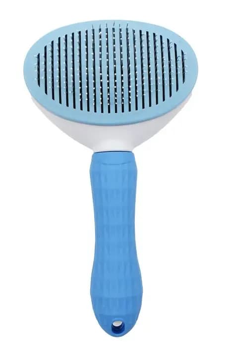 Brosse Bleu